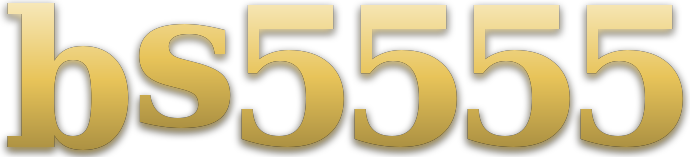 bs5555 logo